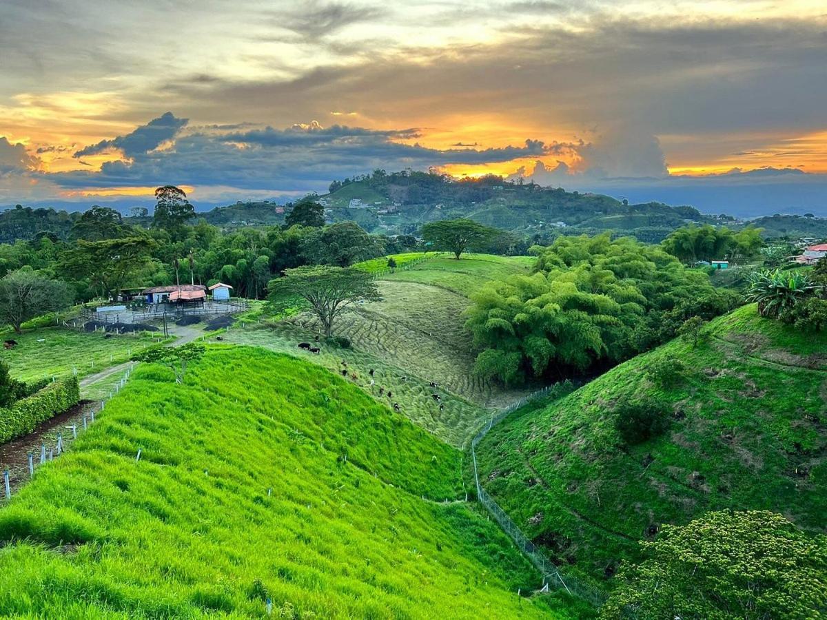 Ecohotel Guaduales เปเรย์รา ภายนอก รูปภาพ